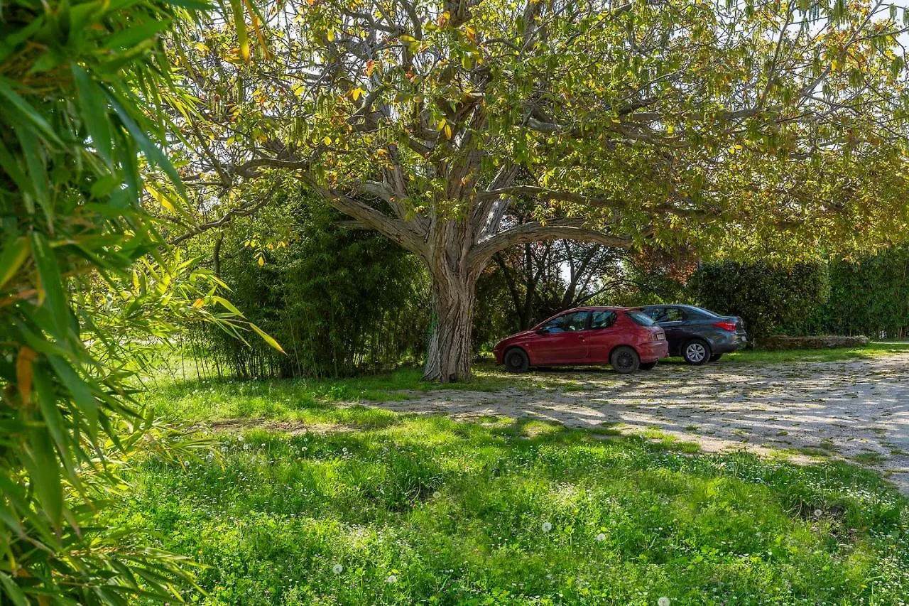Apartments Rita Porec Croatia